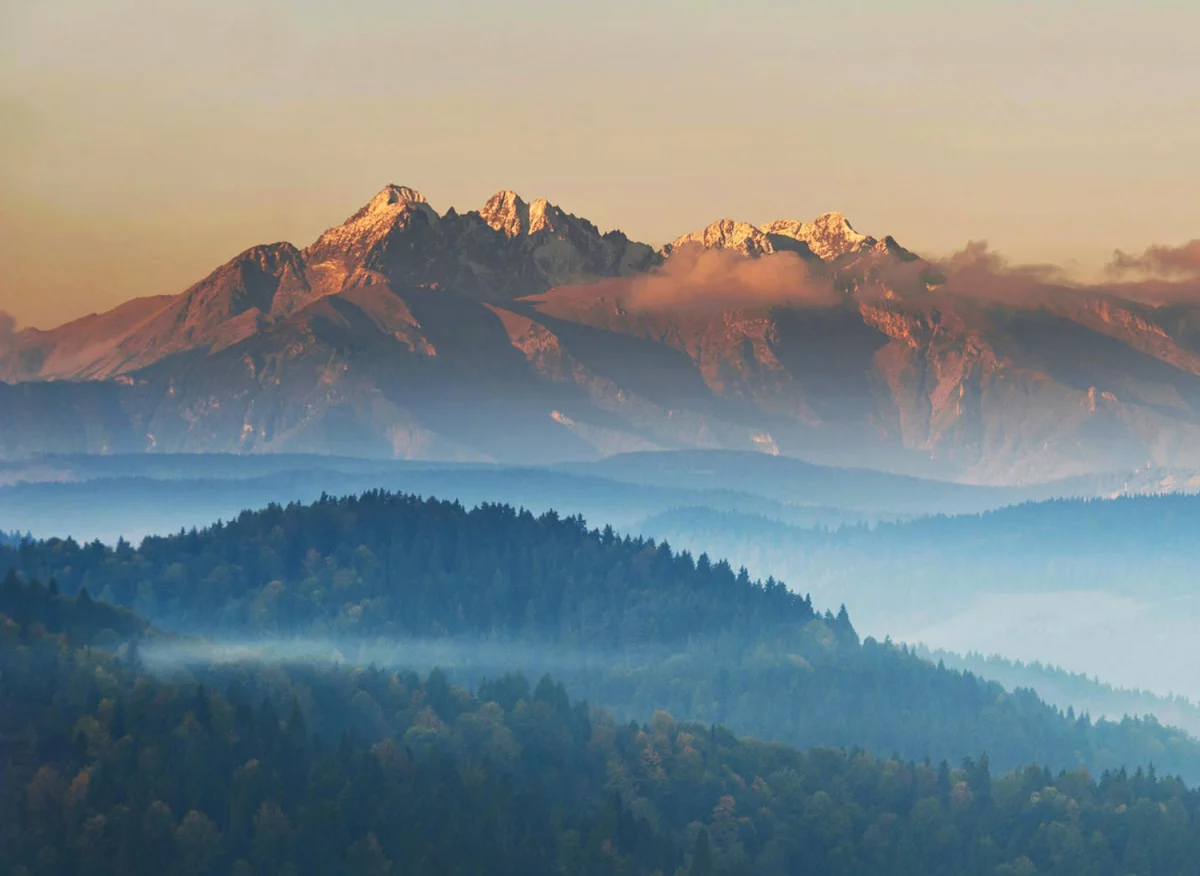 Odkryj komfort i styl dzięki łóżkom Rzeszów - doskonałe rozwiązanie dla Twojej sypialni!