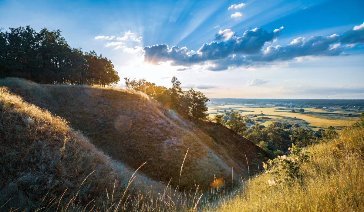 Nowy portal o budownictwie - Twoje kompendium wiedzy branżowej!