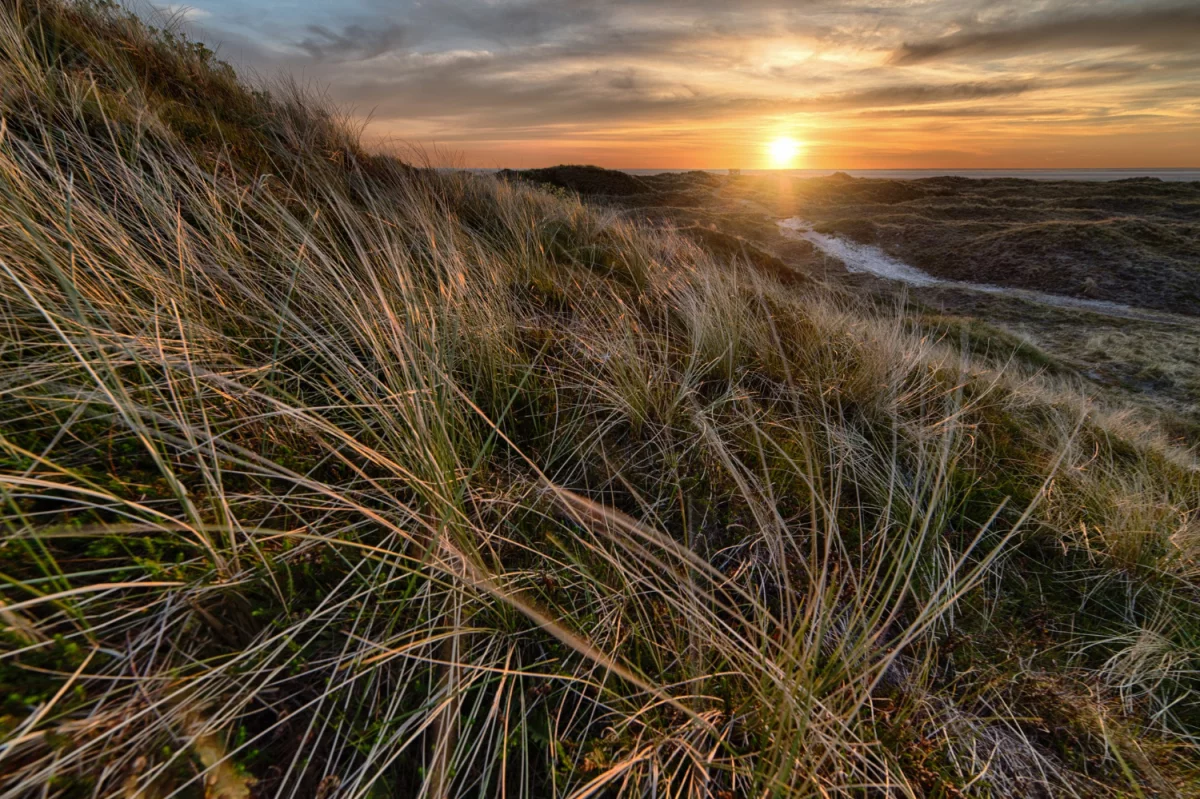 Materace Kraków: Odkryj najlepsze rozwiązania dla zdrowego i komfortowego snu w sercu miasta!
