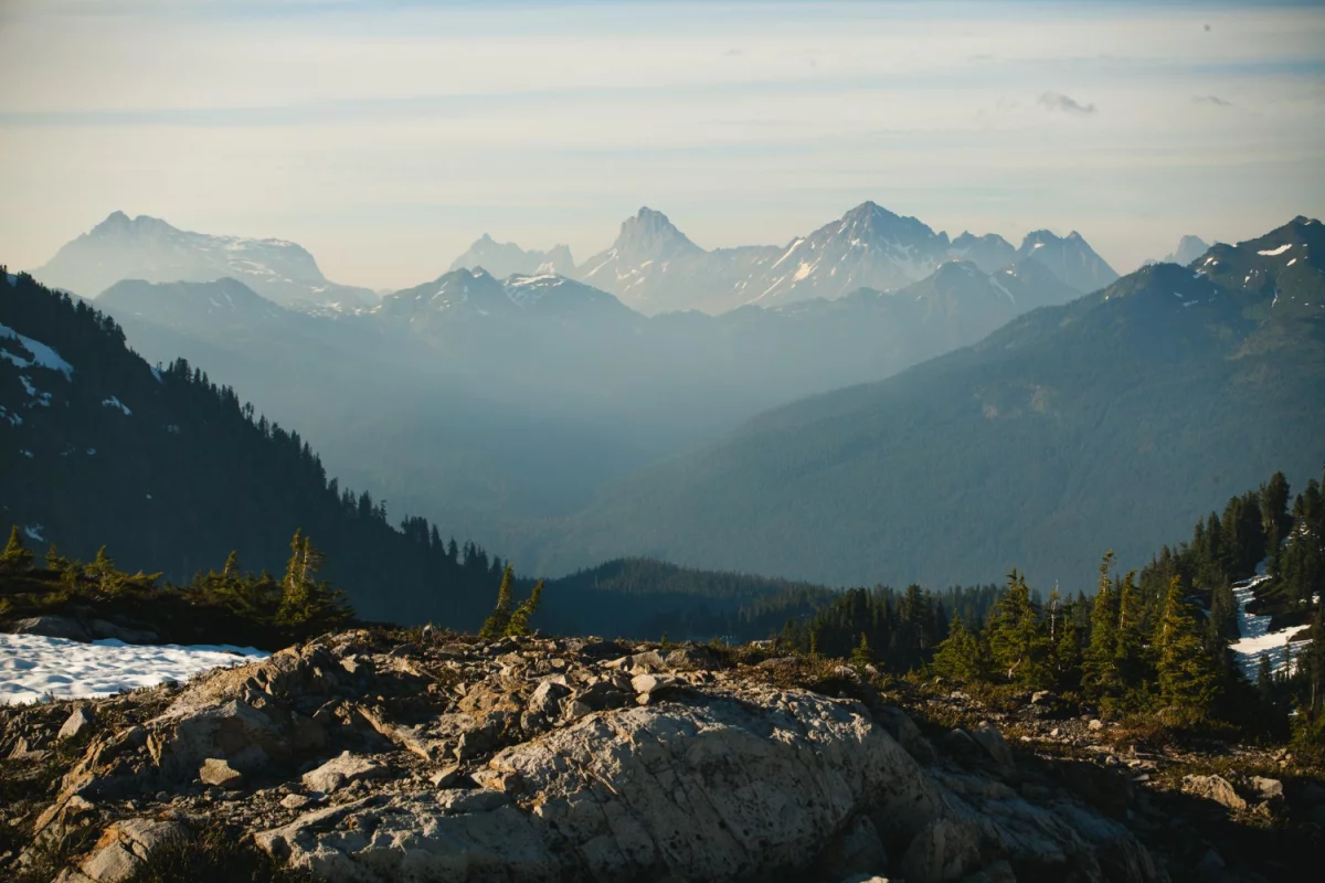 BDO w firmie transportowej: Kluczowe aspekty i korzyści dla efektywnego zarządzania
